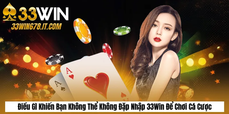 Điều Gì Khiến Bạn Không Thể Không Đặp Nhập 33Win Để Chơi Cá Cược